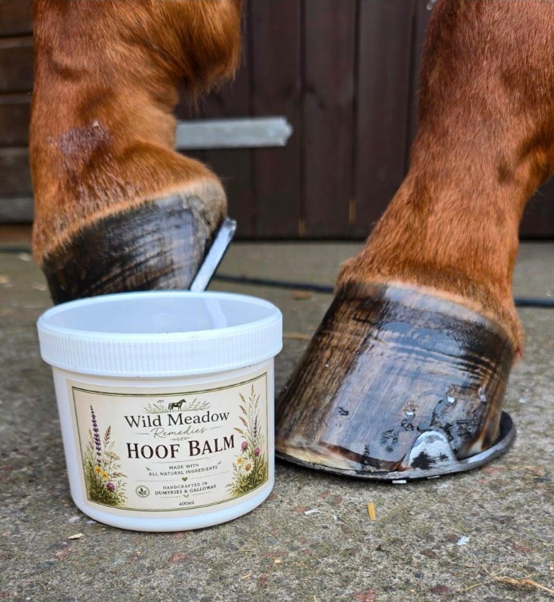 Meadow Shield Hoof Balm